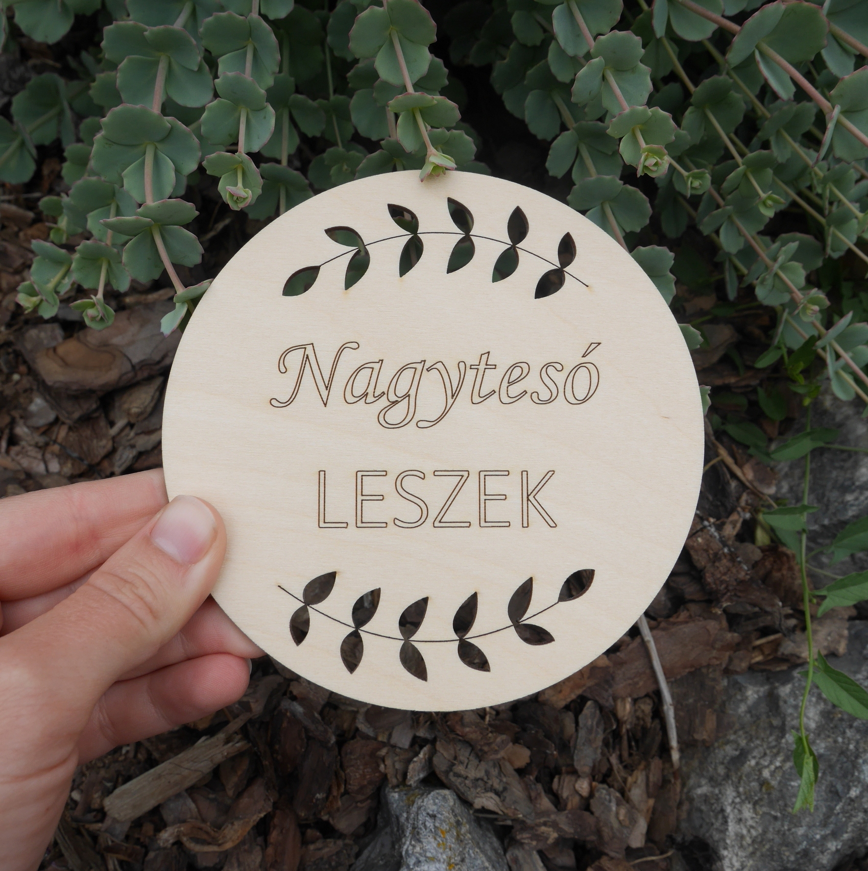 Nagytesó leszek - bababejelentő korong 12 cm